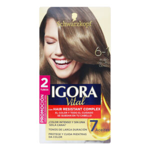 IGORA VITAL D.TUBO 6-1 RUB.OSCURO CENIZO