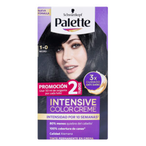 PALETTE CREM D.TUBO 1-0 NEGRO