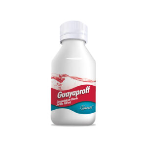 GUAYAPROFF GUAYACOLATO JBE 300 MG 120 ML