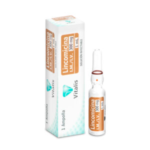 LINCOMICINA 300MG/1ML 1 AMPOLLA VT